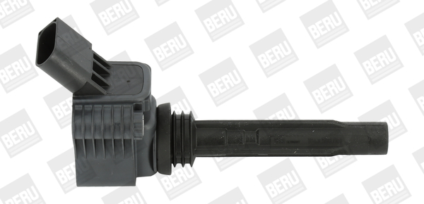 Picture of Ignition Coil - BorgWarner (BERU) - ZSE067
