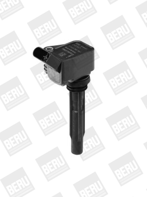Picture of Ignition Coil - BorgWarner (BERU) - ZSE067