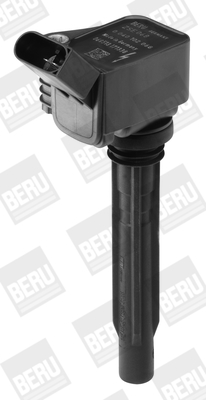 Picture of Ignition Coil - BorgWarner (BERU) - ZSE068