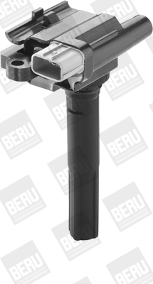 Picture of Ignition Coil - BorgWarner (BERU) - ZSE069