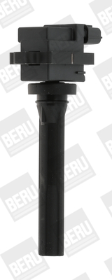 Picture of Ignition Coil - BorgWarner (BERU) - ZSE072