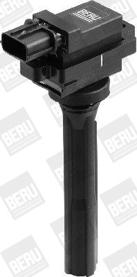 Picture of Ignition Coil - BorgWarner (BERU) - ZSE072