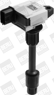 Picture of Ignition Coil - BorgWarner (BERU) - ZSE076