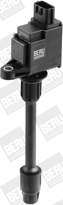 Picture of Ignition Coil - BorgWarner (BERU) - ZSE078