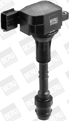 Picture of Ignition Coil - BorgWarner (BERU) - ZSE079