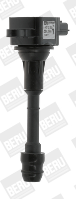 Picture of Ignition Coil - BorgWarner (BERU) - ZSE080