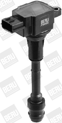 Picture of Ignition Coil - BorgWarner (BERU) - ZSE080