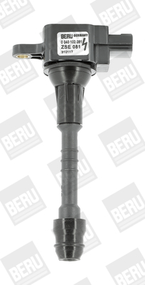 Picture of Ignition Coil - BorgWarner (BERU) - ZSE081
