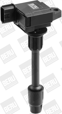 Picture of Ignition Coil - BorgWarner (BERU) - ZSE082