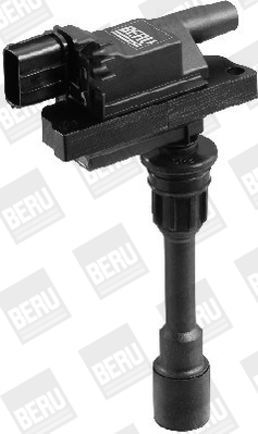 Picture of Ignition Coil - BorgWarner (BERU) - ZSE083