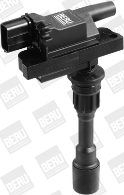 Picture of Ignition Coil - BorgWarner (BERU) - ZSE084