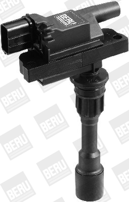 Picture of Ignition Coil - BorgWarner (BERU) - ZSE084