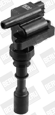 Picture of Ignition Coil - BorgWarner (BERU) - ZSE086