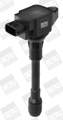 Picture of Ignition Coil - BorgWarner (BERU) - ZSE088