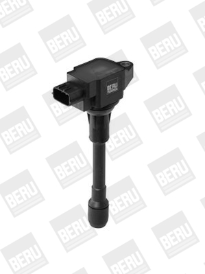 Picture of Ignition Coil - BorgWarner (BERU) - ZSE088