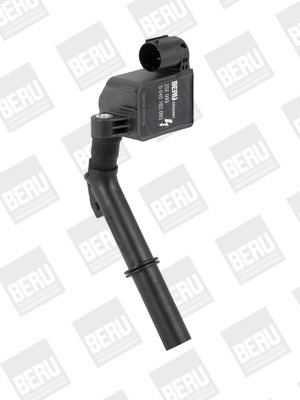 Picture of Ignition Coil - BorgWarner (BERU) - ZSE093