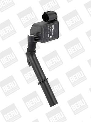 Picture of Ignition Coil - BorgWarner (BERU) - ZSE093
