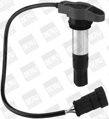 Picture of Ignition Coil - BorgWarner (BERU) - ZSE130