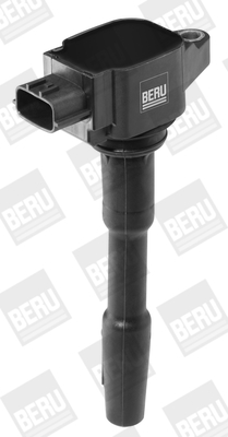 Picture of Ignition Coil - BorgWarner (BERU) - ZSE131