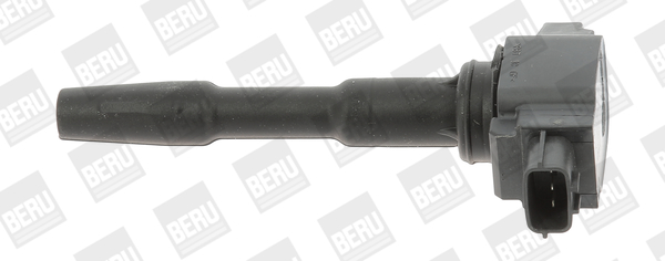 Picture of Ignition Coil - BorgWarner (BERU) - ZSE131