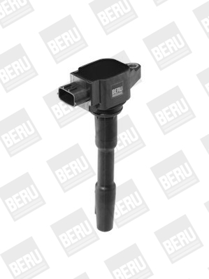 Picture of Ignition Coil - BorgWarner (BERU) - ZSE131