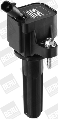 Picture of Ignition Coil - BorgWarner (BERU) - ZSE133