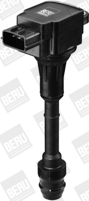 Picture of BorgWarner (BERU) - ZSE135