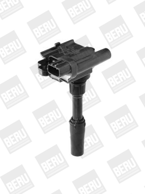 Picture of Ignition Coil - BorgWarner (BERU) - ZSE136