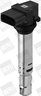 Picture of Ignition Coil - BorgWarner (BERU) - ZSE138