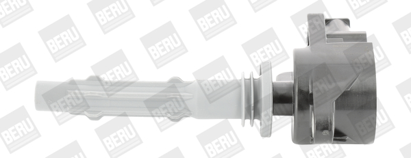 Picture of Ignition Coil - BorgWarner (BERU) - ZSE140