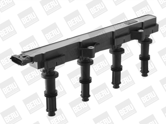 Picture of Ignition Coil - BorgWarner (BERU) - ZSE149