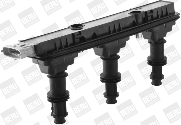 Picture of Ignition Coil - BorgWarner (BERU) - ZSE153