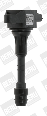 Picture of Ignition Coil - BorgWarner (BERU) - ZSE156