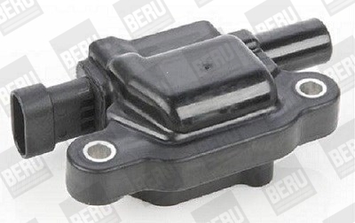 Picture of Ignition Coil - BorgWarner (BERU) - ZSE159