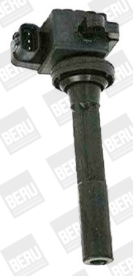 Picture of Ignition Coil - BorgWarner (BERU) - ZSE160