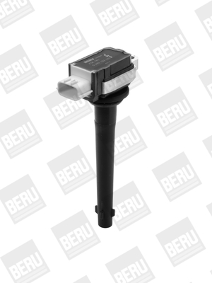 Picture of Ignition Coil - BorgWarner (BERU) - ZSE161
