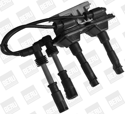 Picture of Ignition Coil - BorgWarner (BERU) - ZSE162
