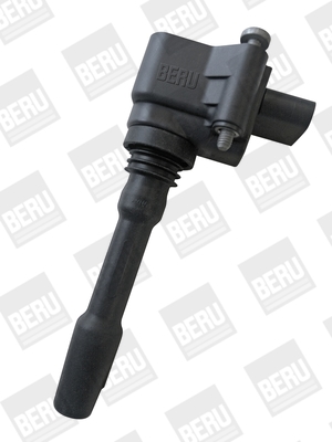 Picture of Ignition Coil - BorgWarner (BERU) - ZSE163