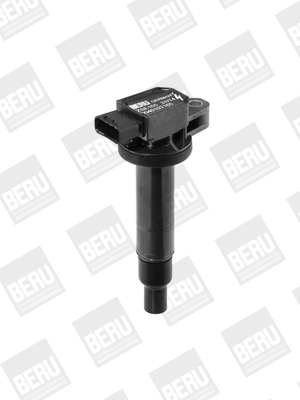 Picture of Ignition Coil - BorgWarner (BERU) - ZSE165