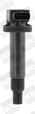 Picture of Ignition Coil - BorgWarner (BERU) - ZSE165