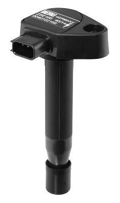 Picture of Ignition Coil - BorgWarner (BERU) - ZSE166