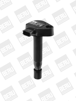 Picture of Ignition Coil - BorgWarner (BERU) - ZSE166
