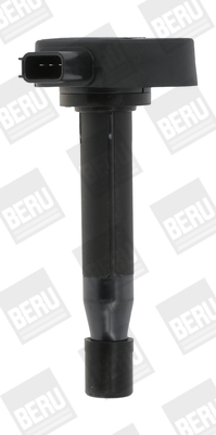 Picture of Ignition Coil - BorgWarner (BERU) - ZSE166
