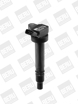 Picture of Ignition Coil - BorgWarner (BERU) - ZSE168