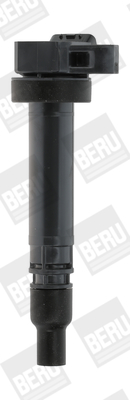 Picture of Ignition Coil - BorgWarner (BERU) - ZSE168