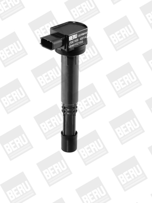 Picture of Ignition Coil - BorgWarner (BERU) - ZSE169