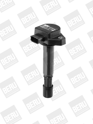 Picture of Ignition Coil - BorgWarner (BERU) - ZSE170