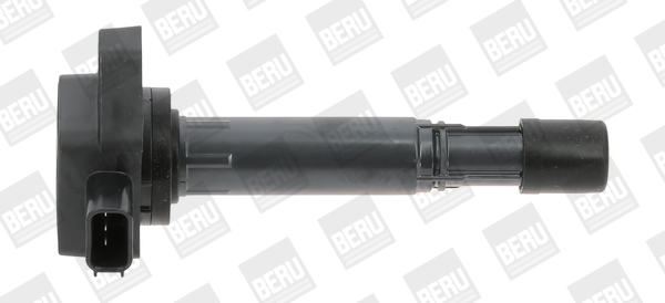 Picture of Ignition Coil - BorgWarner (BERU) - ZSE170