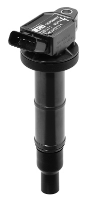 Picture of Ignition Coil - BorgWarner (BERU) - ZSE171