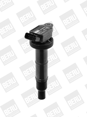 Picture of Ignition Coil - BorgWarner (BERU) - ZSE171